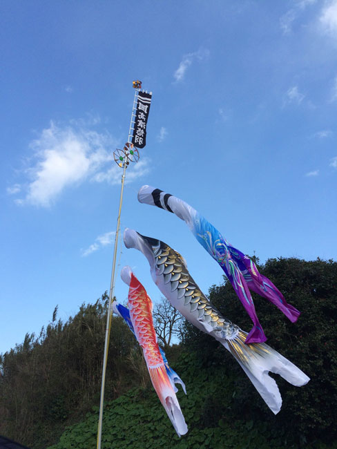 ���e�O�� �F�{