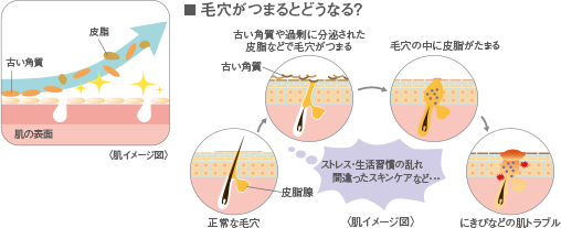セルニュー