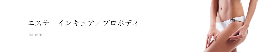 インキュアティバープロ・プロボディ