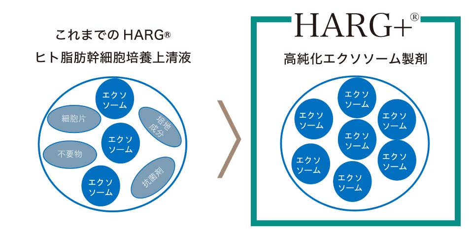 HARG＋(ハーグプラス)療法をするなら熊本の美容外科ハニークリニックへ