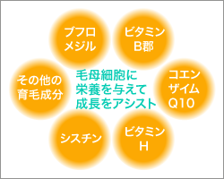 HARG(ハーグ)療法 熊本