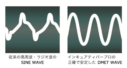 脂肪燃焼 熊本