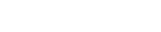 Vカーボンシステム