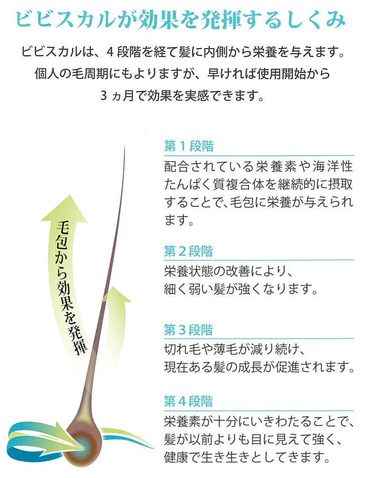 ビビスカルが効果を発揮する仕組み